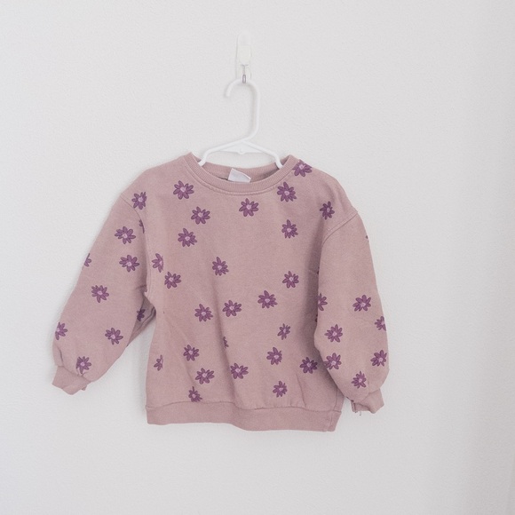 Zara Other - Floral Pink Sweatshirt